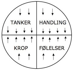 Split mellem tanker og følelser - illustration 2