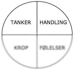 Split mellem tanker og følelser - illustration 3