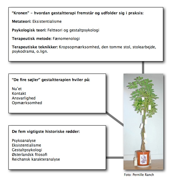 Gestalttræet - af Pernille Ranch og Tine Bremmelgaard