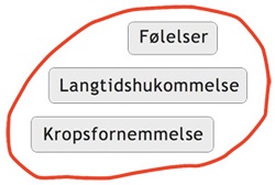 Følelser, langtidshukommelse og kropsfornemmelse i centrum af hjernen